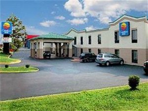 Отель Comfort Inn Bardstown