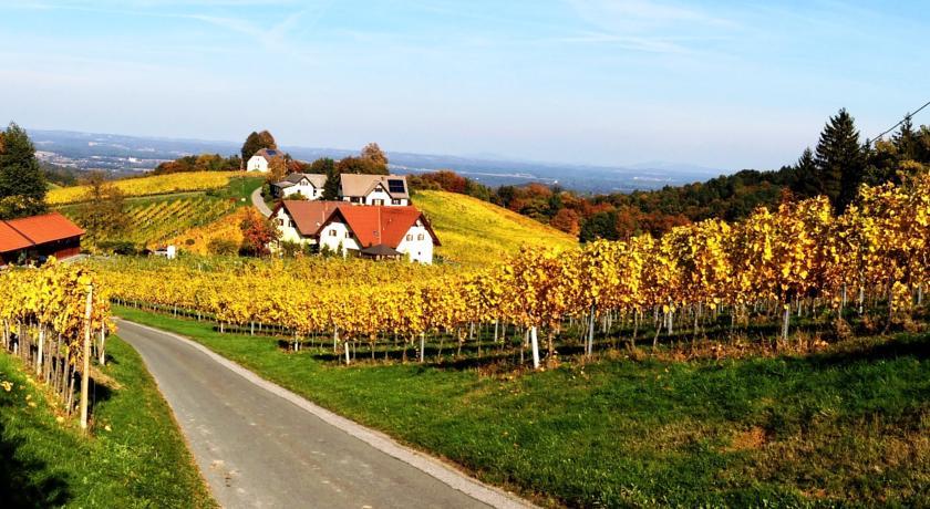 Мини-отель Weingut Schwarzl