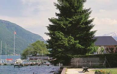 Апартаменты Holiday home Cons Colombe L-895