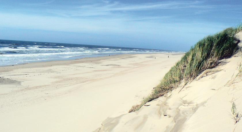 Апартаменты Holiday home Egmond-Binnen 6
