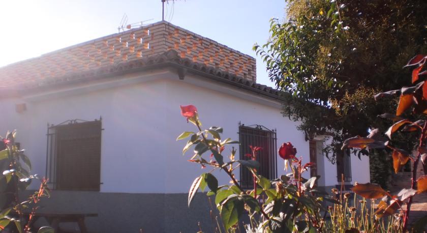 Апартаменты Apartamento Turistico Los Olivos