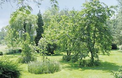 Апартаменты Holiday home Coucy les Eppes QR-1185