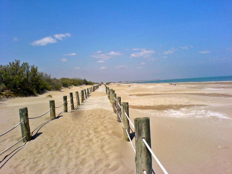 Апартаменты Bello Apartamento en Delta Ebro