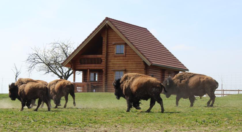 Отель Ranch des bisons