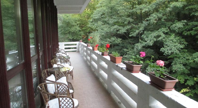 Отель Hotel Roman