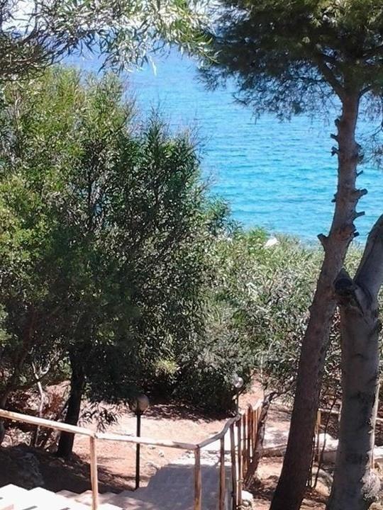 Отель Villaggio Camping Le Mimose