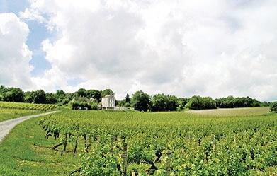Апартаменты Holiday home Dampiere sur Loire ST-859