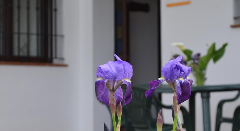 Отель Casa Rural La Serrana de Aracena