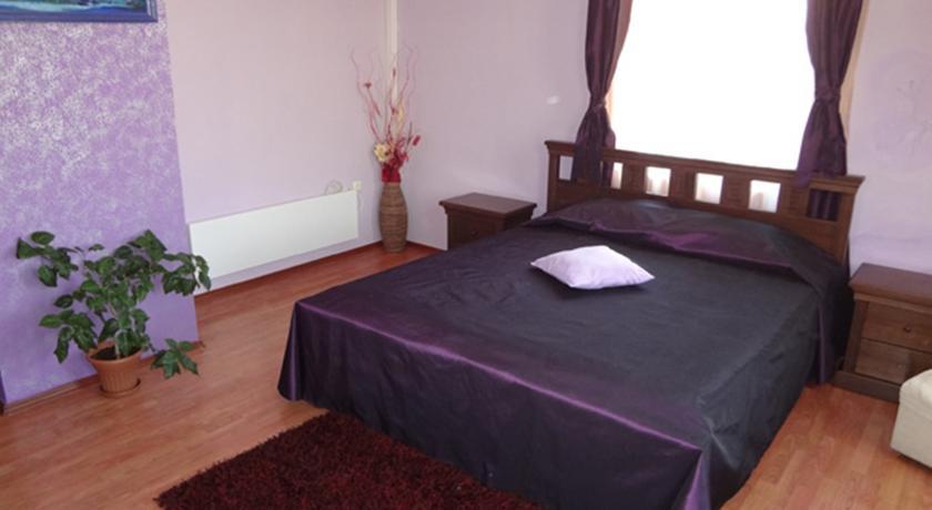 Отель Vidin Hotel