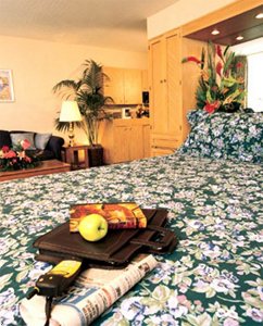 Отель Best Western Airport Plaza