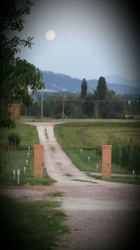 Отель Agriturismo Querceto