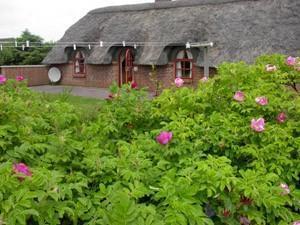 Апартаменты Holiday home Ulfborg 1