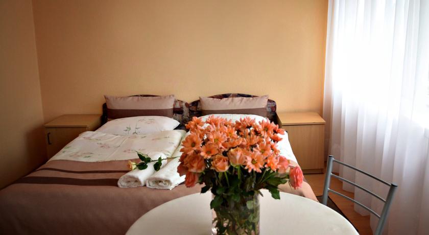 Отель Hotel Pod Dębami