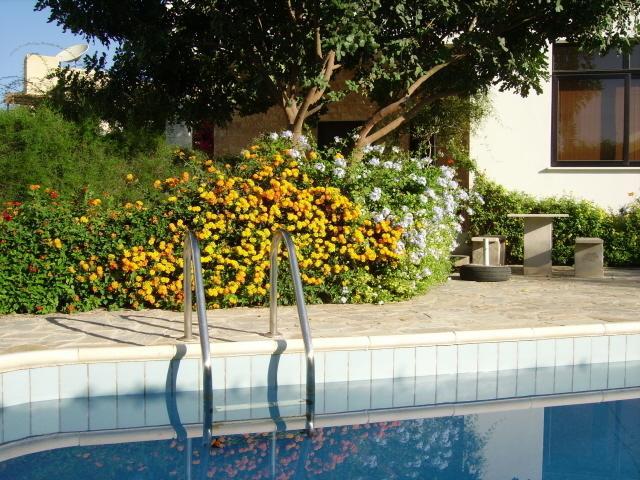 Апартаменты Kissonerga Apartment