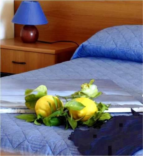Апартаменты Canapè Apartaments