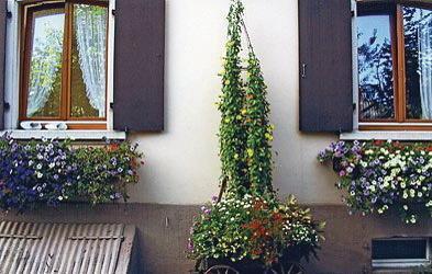 Апартаменты Holiday home Sundhouse KL-1435