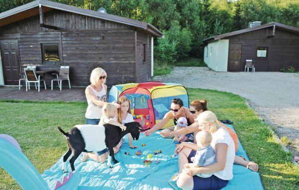 Апартаменты Holiday home ul Lesna P-931