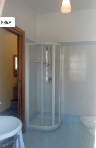 Отель Hotel Flamingo