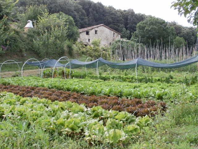 Апартаменты El Vilar i el Portet