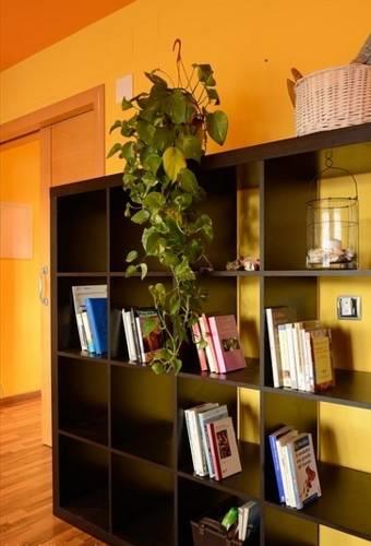 Апартаменты Apartment Second floor Pineda