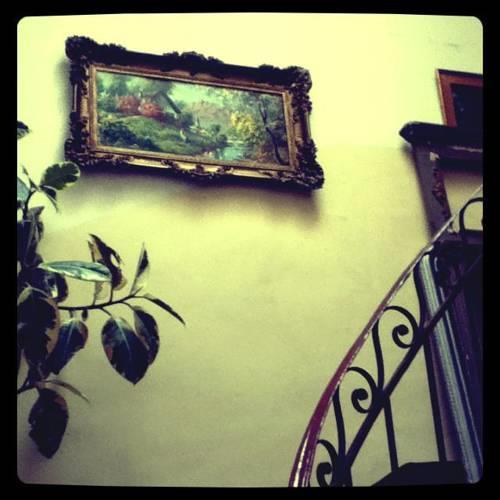 Appartement de Curiosites