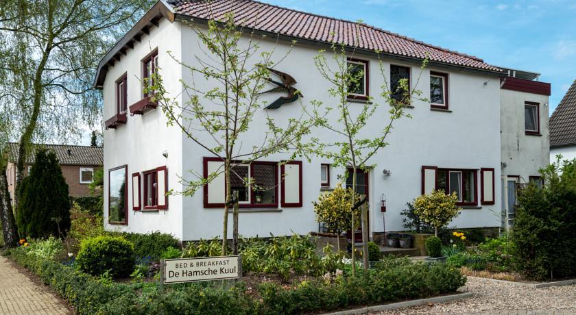 Мини-отель bed and breakfast de hamsche kuul