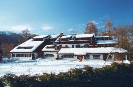 Отель Albergo Pineta