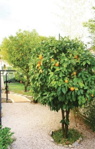 Апартаменты Holiday home Ollioules IJ-1501