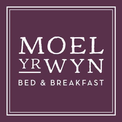 Мини-отель Moel Yr Wyn