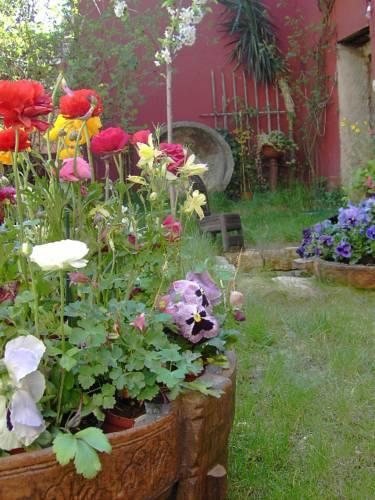 Гостевой дом Guest house La Posada de Tamajon
