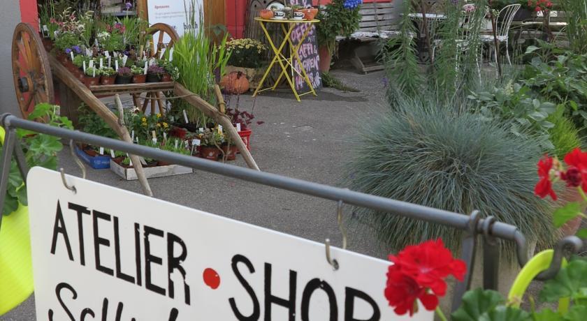 Мини-отель Schöni Sache Atelier Shop BnB