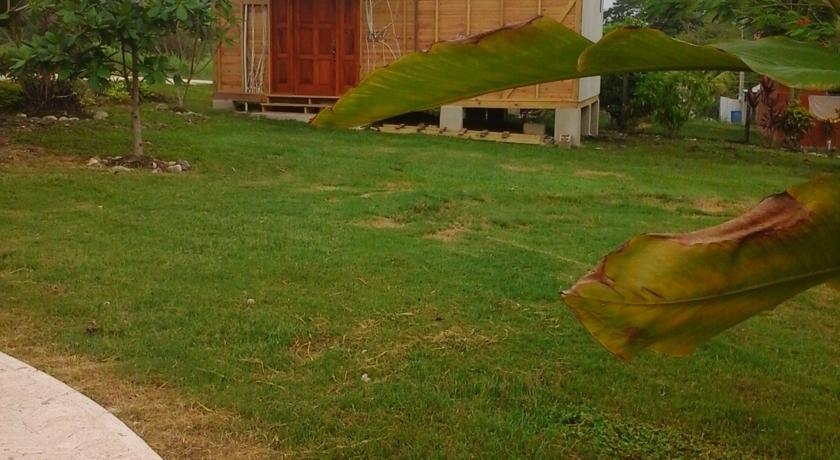 Апартаменты San Ignacio, Belize The green house