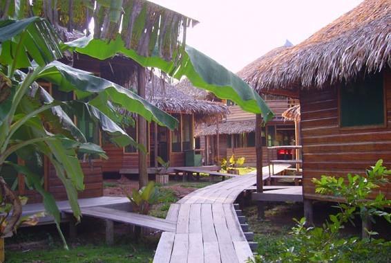 Отель Ararinha Jungle Hotel