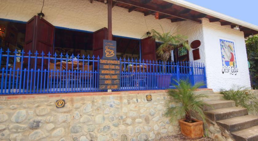 Отель Orosi Lodge