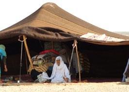 Отель Shooting Stars Bivouac
