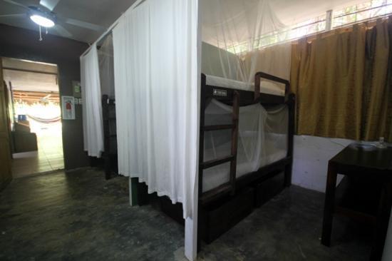 Хостел Drake Bay Backpackers