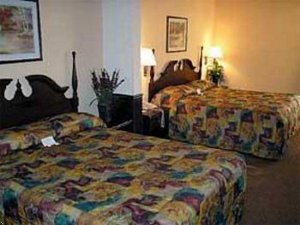 Отель Comfort Inn