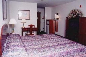 Отель Comfort Inn Auburn