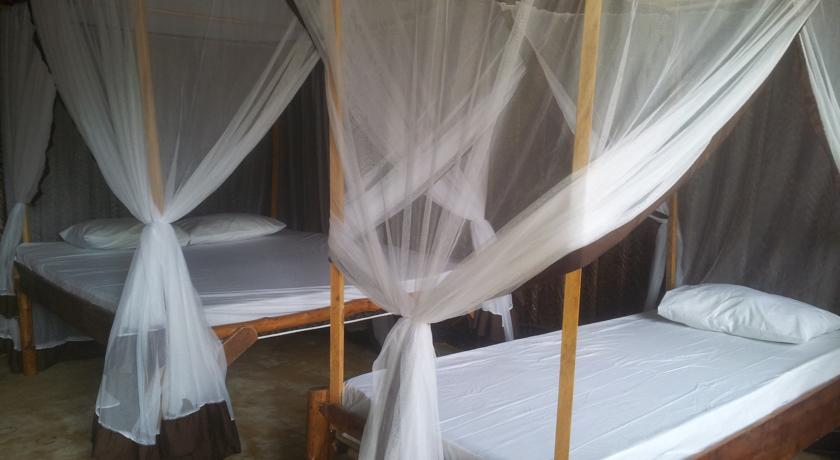 Хостел Summer Dream Lodge