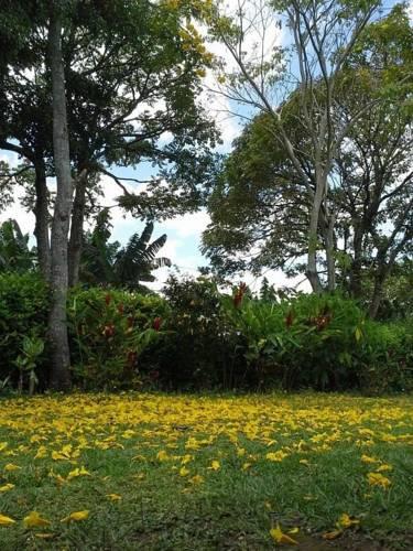 Отель Finca Maranatha