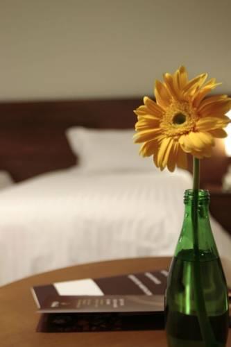 Отель Hotel Gran Odara