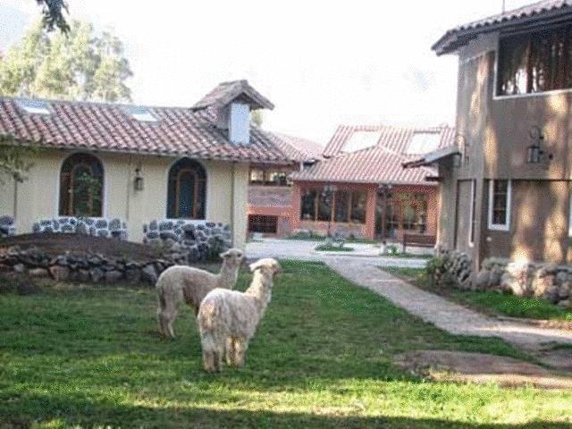 Отель Hotel Pisonay Pueblo