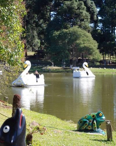 Отель Hotel Fazenda Cisne Branco