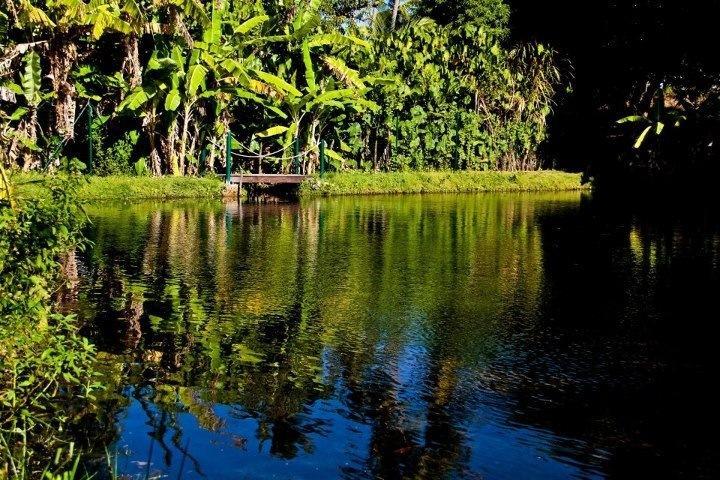 Апартаменты Casa Agarimo