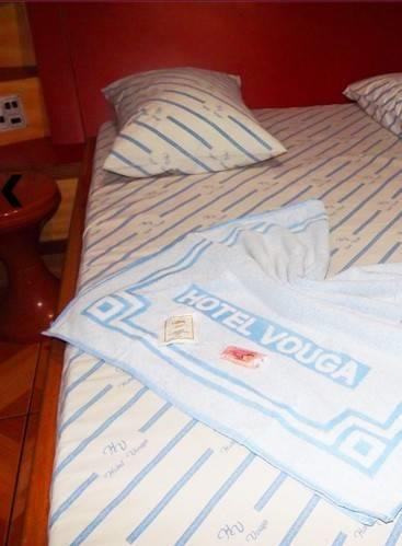 Hotel Vouga
