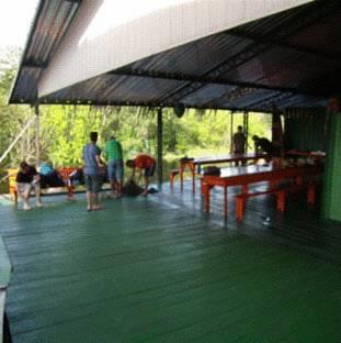 Хостел Manaus Jungle Hostel