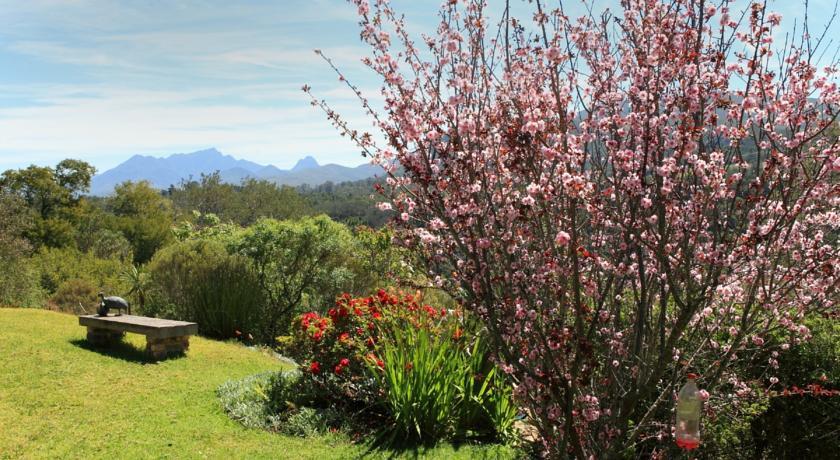 Апартаменты Fynbos Garden Suite