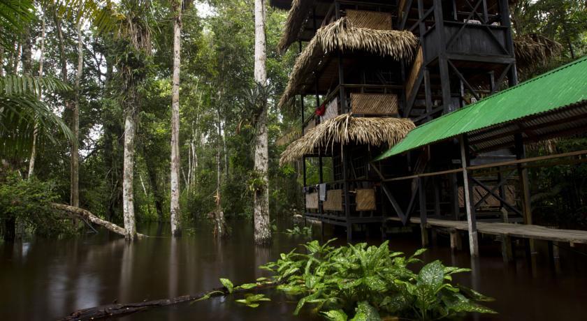 Отель Tapir Lodge