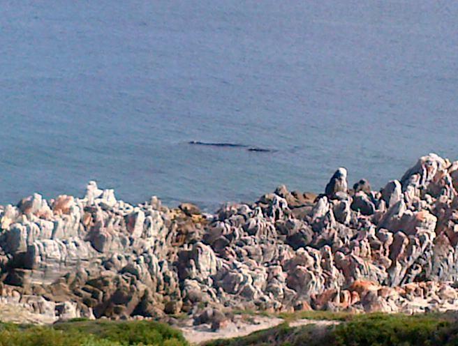 Мини-отель 49 on Cliff