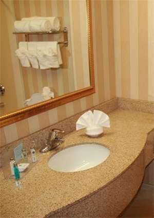 Отель Hampton Inn & Suites Chicago-Addison
